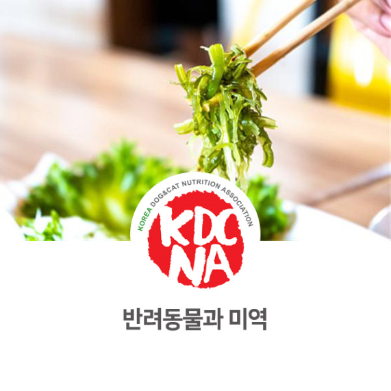  [펫푸드자격증/한국반려동물영양협회/안동/의성/전주/군산/예산/대전/청주] 이정숙 펫영양사가 알려주는 강아지 고양이 미역 식재료_788