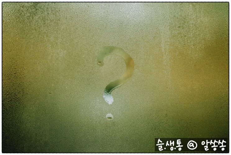  알쏭쏭 앱테크 퀴즈답 0503
