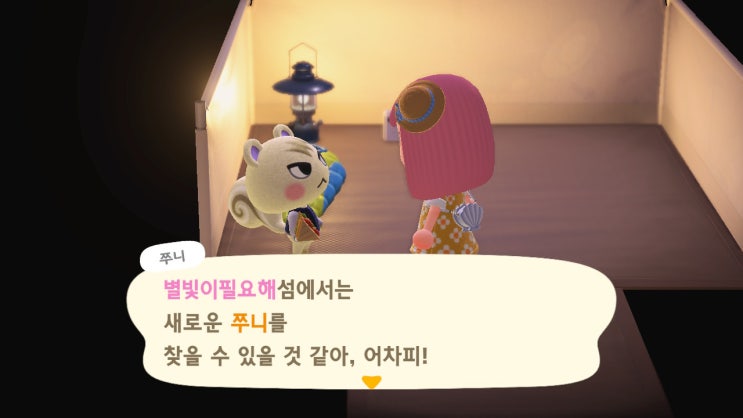  닌텐도 스위치 게임 모여봐요 동물의숲 캠핑장 설치 & 주민 쭈니