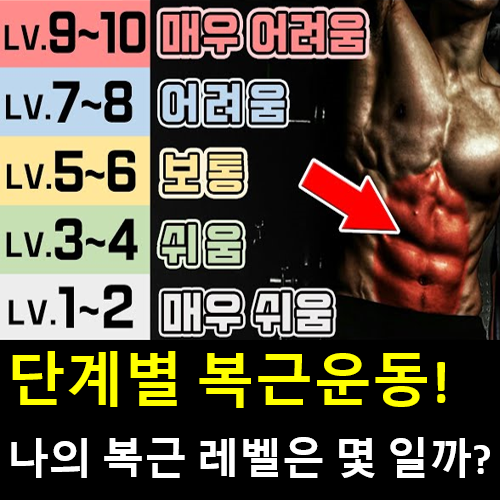 남자 여자 복근운동 종류 바이시클 크런치 동작과 하복근운동 레그 레이즈 자세와 방법