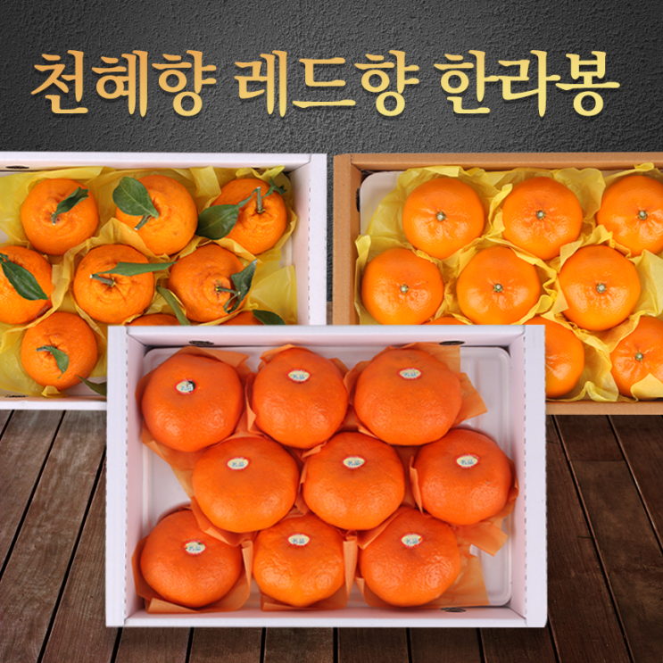 선호도 높은 푸릇푸릇 제주 한라봉 황금향 천혜향 레드향 노지 감 귤 한라봉 3kg, 5.제주감귤 5kg L사이즈 추천해요 선호도 높은 푸릇푸릇 제주 한라봉 황금향 천혜향 레드향 노지 감 귤 한라봉 3kg, 5.제주감귤 5kg L사이즈 추천해요