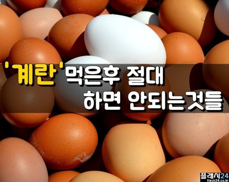  계란 먹은 후 절대 하면 안되는 것들