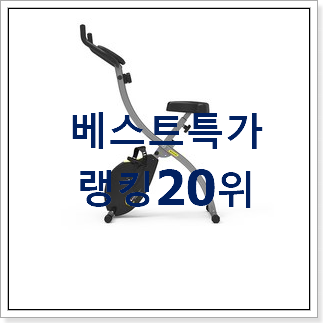 알짜배기 헬스바이크 제품 가성비 목록