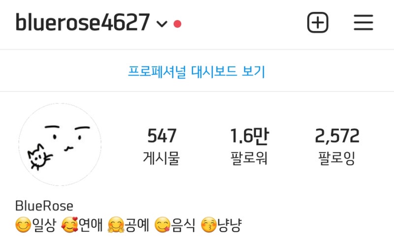 인스타그램 팔로워 늘리기 인스타프렌즈로 빠르고 간편하게 : 네이버 블로그