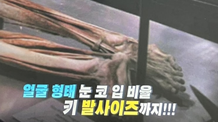 장웨이제 인체표본 비교 대륙의 내연녀 실종 후 인체박물관에서 발견 진실이 무엇일까