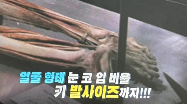 장웨이제 인체표본 비교 대륙의 내연녀 실종 후 인체박물관에서 발견 진실이 무엇일까 장웨이제 인체표본 비교 대륙의 내연녀 실종 후 인체박물관에서 발견 진실이 무엇일까