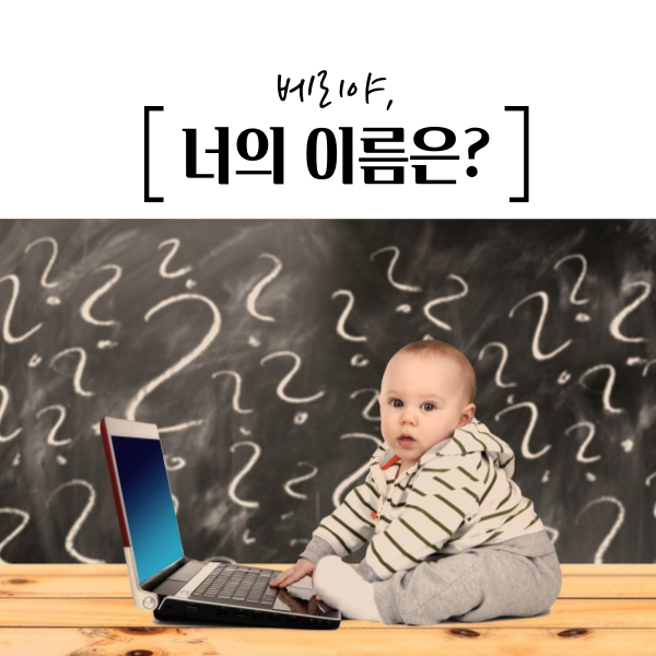  너의 이름은 ?