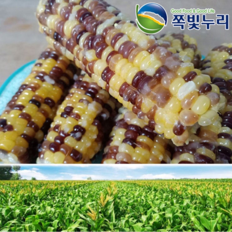 가성비갑 쪽빛누리 옥수수 홍찰옥수수 알록이옥수수 약12cm25개 살짝데친, 본품 ··· 가성비갑 쪽빛누리 옥수수 홍찰옥수수 알록이옥수수 약12cm25개 살짝데친, 본품 ···