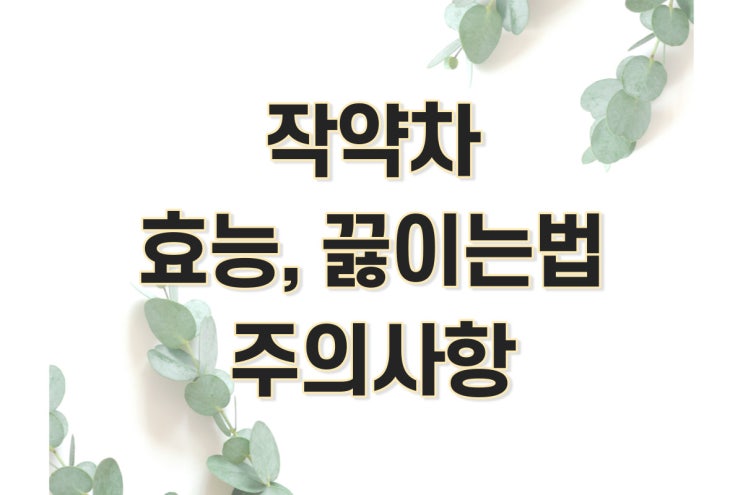  작약차 효능, 부작용 먹는법 정리 (작약꽃 피는 시기, 백작약)