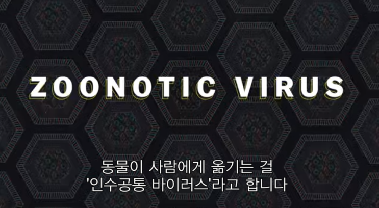  넷플릭스 다큐 익스플레인 코로나바이러스를 해설하다 정보 리뷰 감상 후기