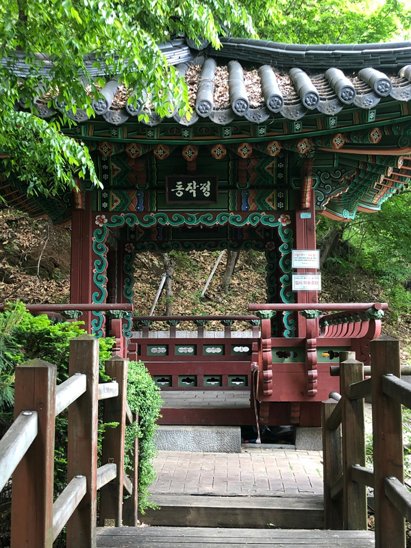 매일매일 챌린지, 오늘의 나의 산책 코스, 현충원둘레길 매일매일 챌린지, 오늘의 나의 산책 코스, 현충원둘레길