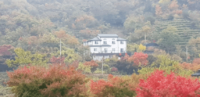  지리산 숲속 힐링 펜션 피아골 에버그린 펜션