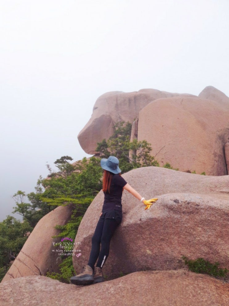 합천 감암산 등산코스-누륵덤.거북바위.강아지바위 암릉산행 합천 감암산 등산코스-누륵덤.거북바위.강아지바위 암릉산행
