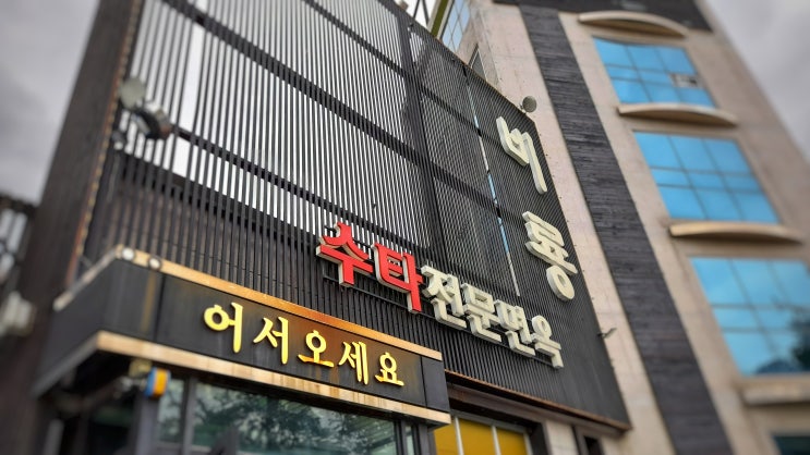  가성비 좋은 포항 중국집 수타전문 비룡