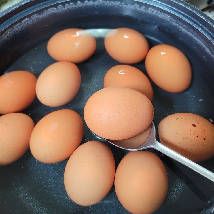  계란삶기 꿀팁을 깨닫다?!