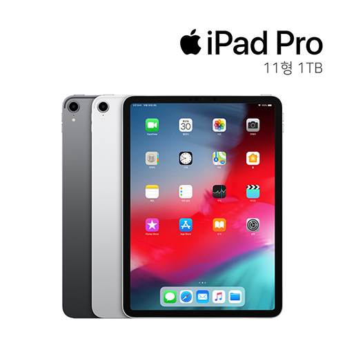 갓성비 좋은 애플 아이패드 프로 1세대 2019 11인치 1TB, 스페이스그레이 좋아요