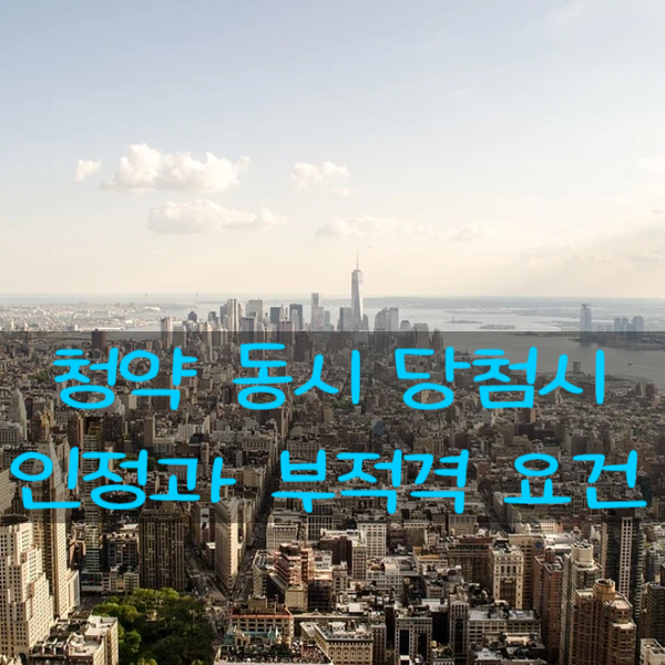  세대분리한 부부가 아파트 청약 동시 당첨시 인정과 부적격 요건