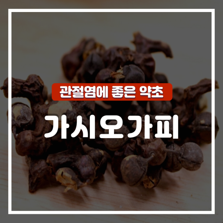  관절염에 좋은 음식 가시오가피 효능 및 부작용 : 가시오가피순 이점