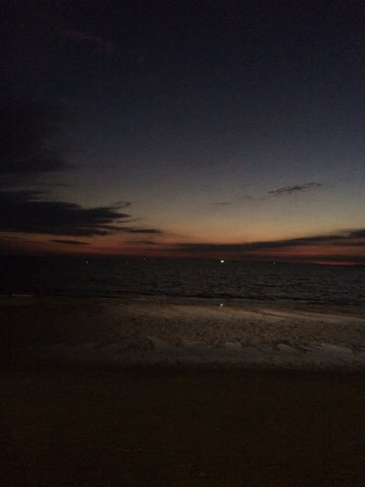  210501 나의 일기