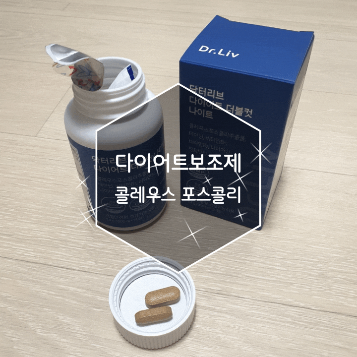 다이어트보조제 추천 여름맞이 군살빼기 운동과 함께 꾸준하게