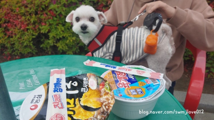  210501 평촌공원