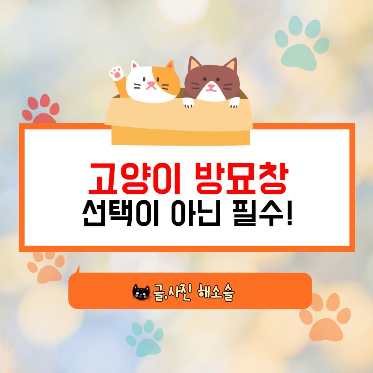  고양이 방묘창은 선택이 아닌 필수!