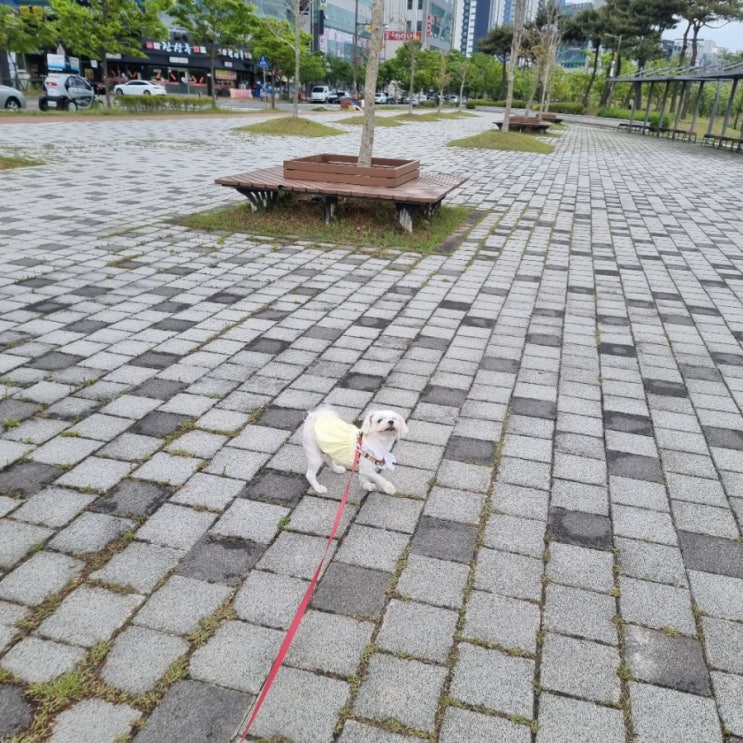  2021.05.01 짧은 일기