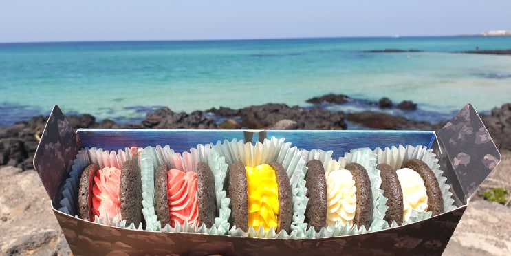  [제주도 여행] SNS 핫한 제주애월 돌카롱/ 제주여행 선물로 구입했어요!