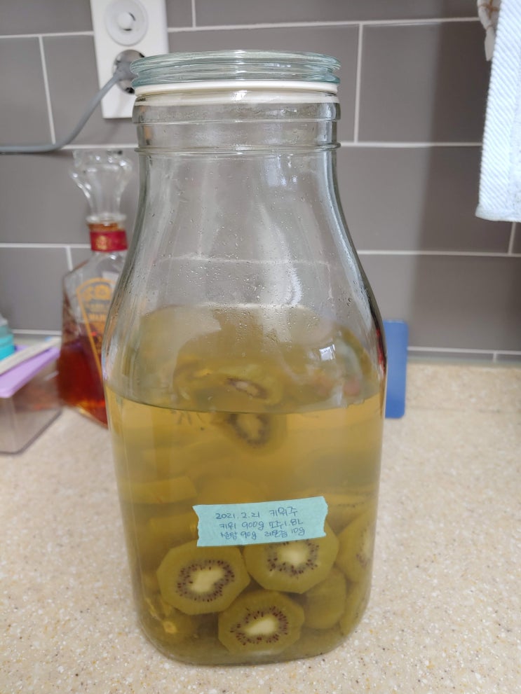  70일간의 기다림, 키위주와의 만남(과일담금주)