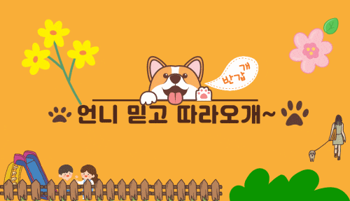  [c캠퍼추천!!]남편한테 칭찬받은 제드 오토듀얼팰레스 레귤러 카텐트 구매기