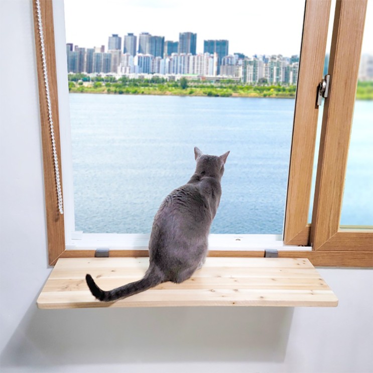 많이 찾는 고양이 캣워크 캣워커 창문틀 창틀 창문선반 브라켓 무타공 선반, 타공함 (80cm x 25cm x 두께 18T) 추천해요