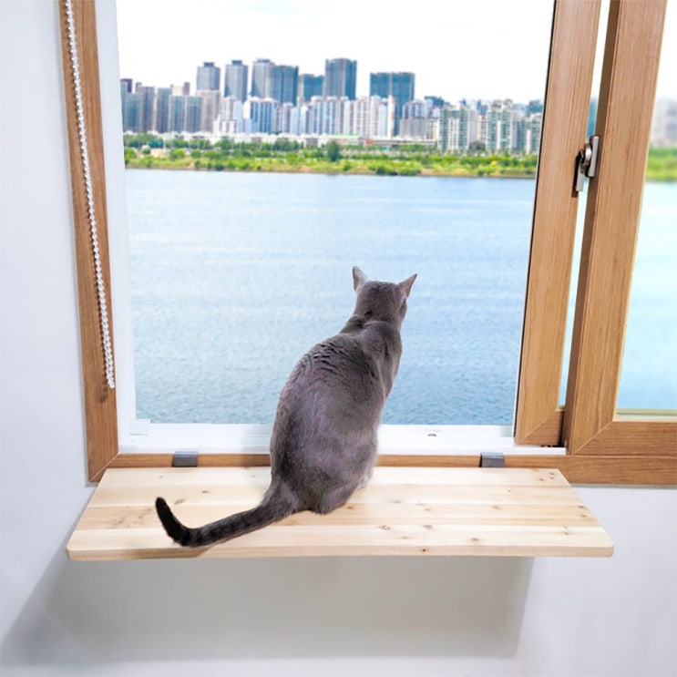 많이 찾는 고양이 캣워크 캣워커 창문틀 창틀 창문선반 브라켓 무타공 선반, 타공함 (80cm x 25cm x 두께 18T) 추천해요 많이 찾는 고양이 캣워크 캣워커 창문틀 창틀 창문선반 브라켓 무타공 선반, 타공함 (80cm x 25cm x 두께 18T) 추천해요