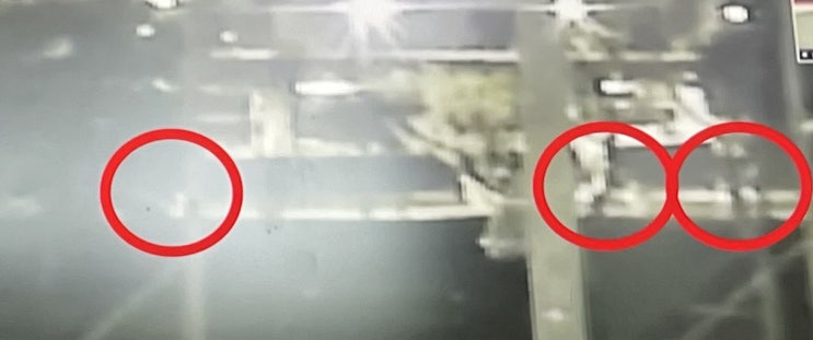 한강 실종 의대생 부검 목격자 CCTV 의문점 닷새만의 발견인데 피가 흐르는게 가능한가? 좁혀진 행적 등 관련 내용 정리