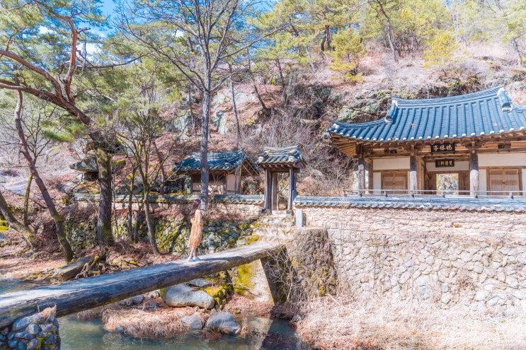  미스터션샤인 촬영지인 그곳! 안동 만휴정