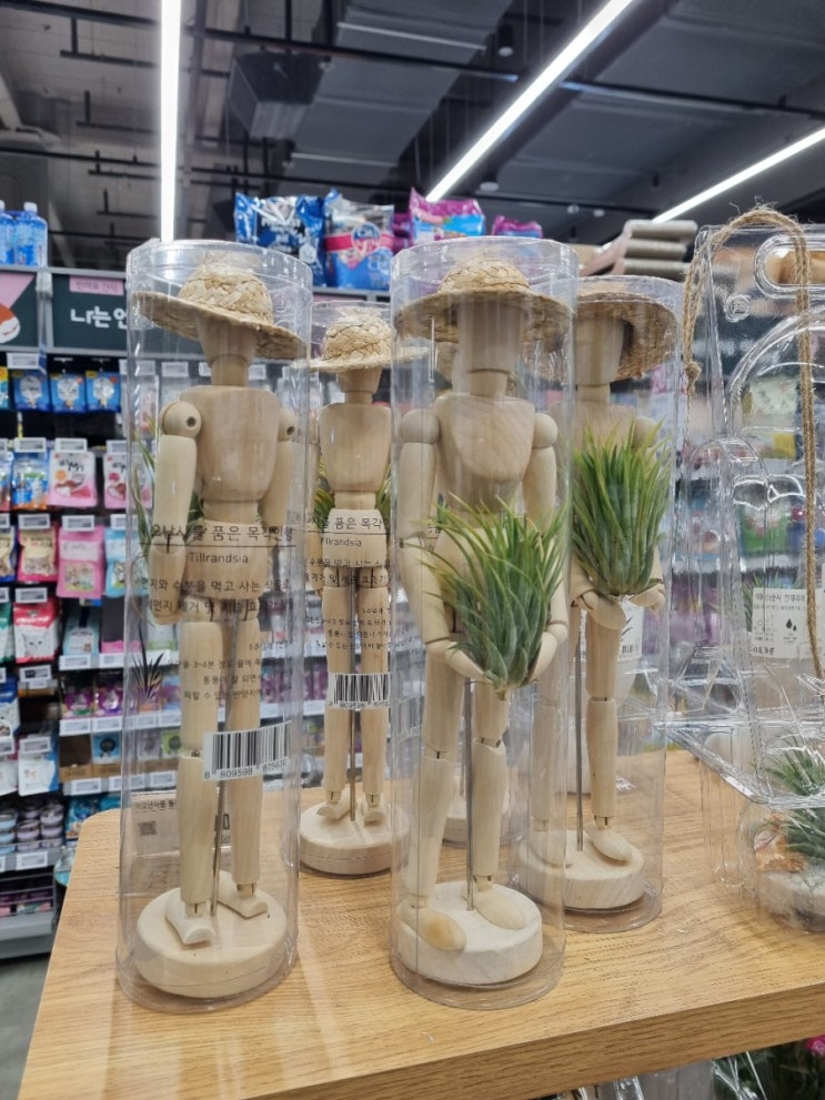  오늘의 동네산책
