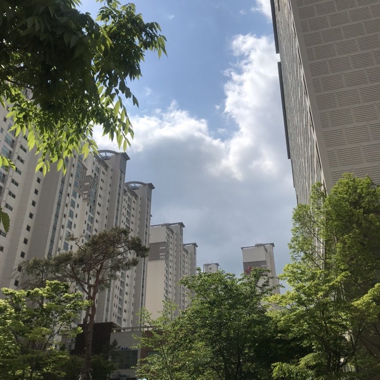  [DIARY] 오늘의 일기 : 2021-05-01