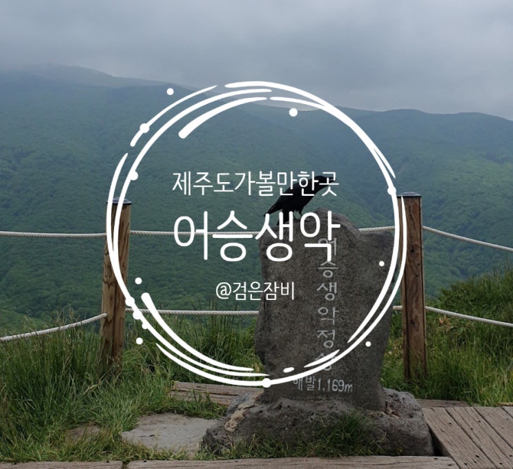  제주도 가볼 만한 곳 어승생악(어승생오름) 등산후기. 동산인 줄 알고 갔다가 혼쭐났다.