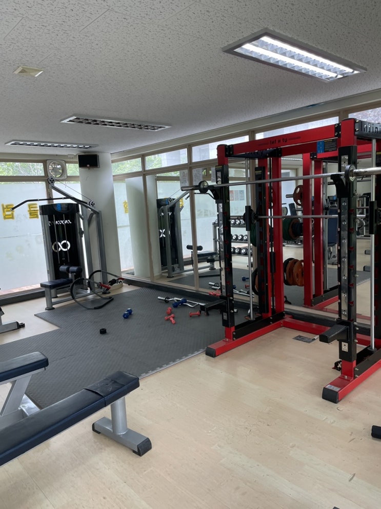  오늘 일기