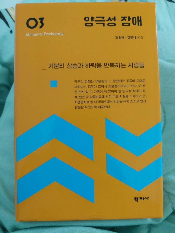  양극성장애 - 기분의 상승과 하락을 반복하는 사람들 (feat. 글쓴이는 양극성장애 1형)