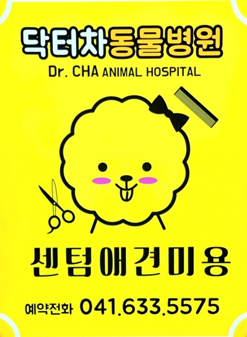 센텀애견미용 — 홍성군