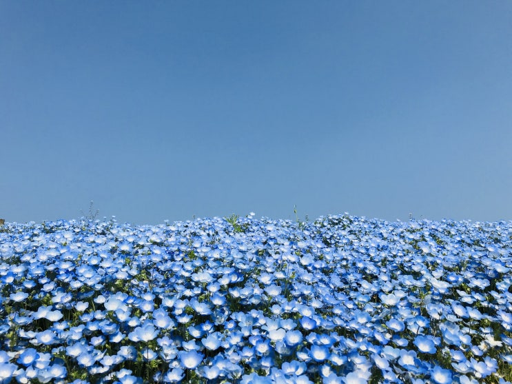  골든위크ㅣ매일매일 챌린지, #오늘일기