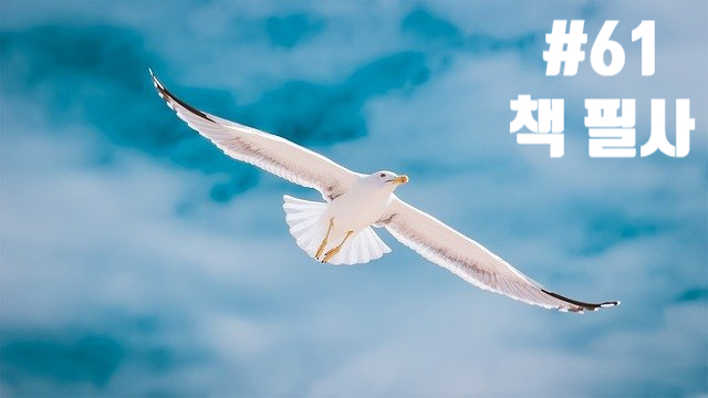 61번째 책 필사 - 강신주 인문학의 거의 모든 것