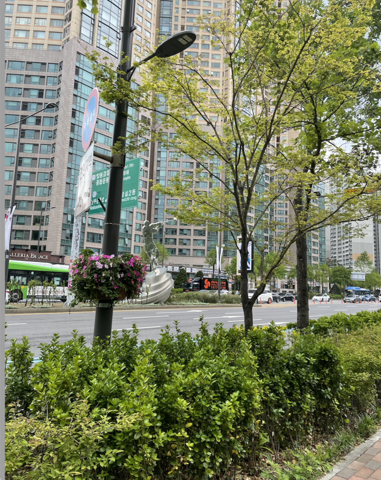  연화엄마 코로나 검사 받다!