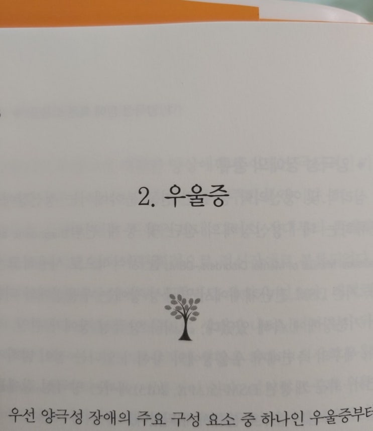  양극성장애 - 우울증