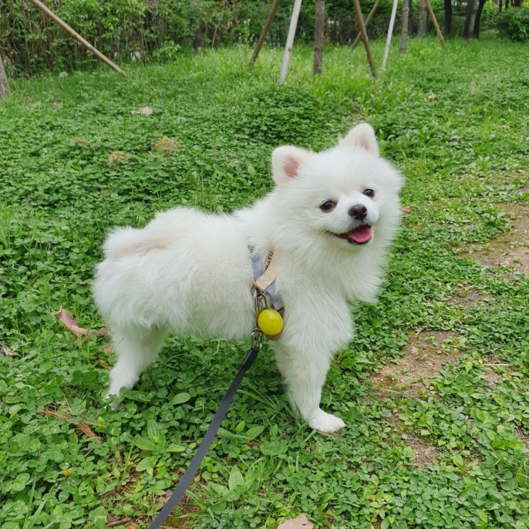  210501 오늘은 쉼 입니다