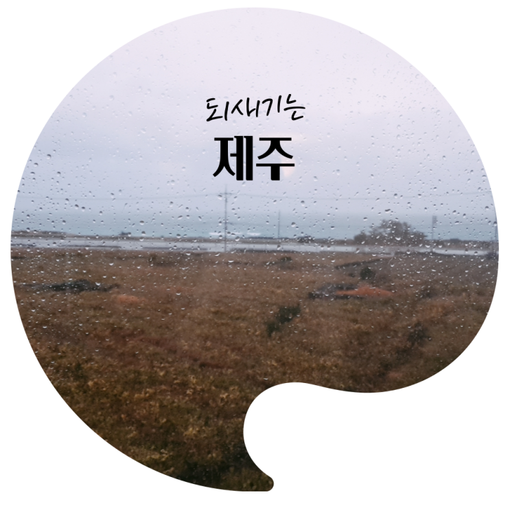  되새기는 제주