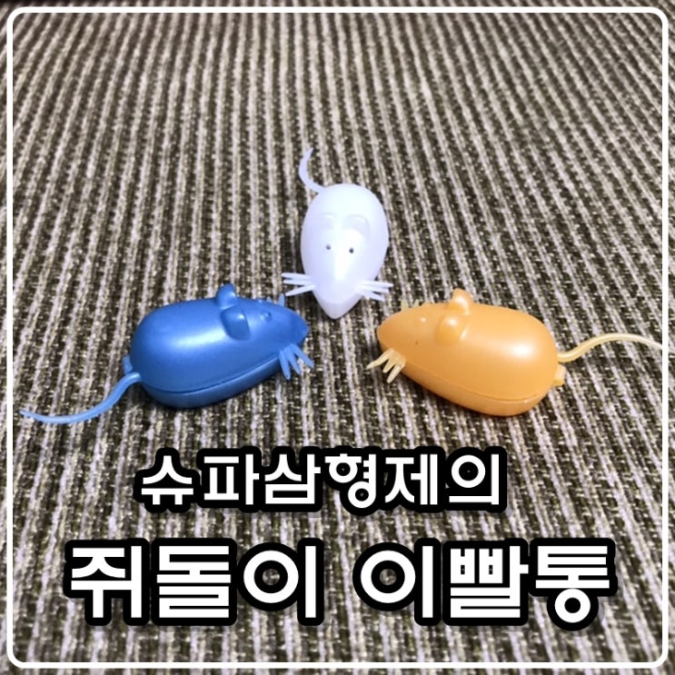 슈파삼형제 쥐돌이 유치 이빨통
