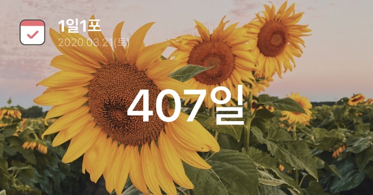  [5/1 네이버 블챌 오늘일기] 킴찹의 하루살이