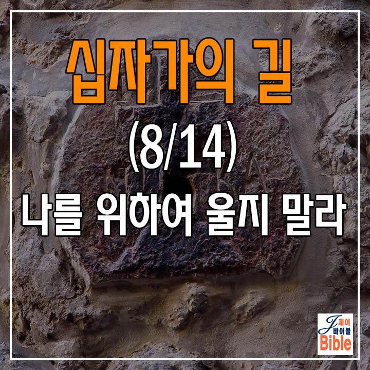  (십자가의 길 8/14) 제 8처소 "나를 위하여 울지 말고 너희와 너희 자녀를 위해 울라" - (랜선 여행)