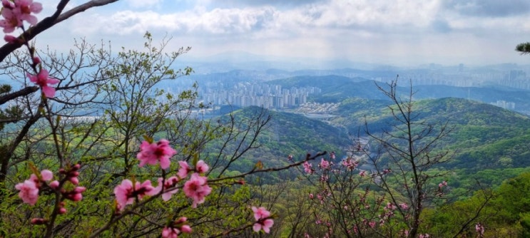  블챌 1일차 ㅡ 5월은 산으로~~